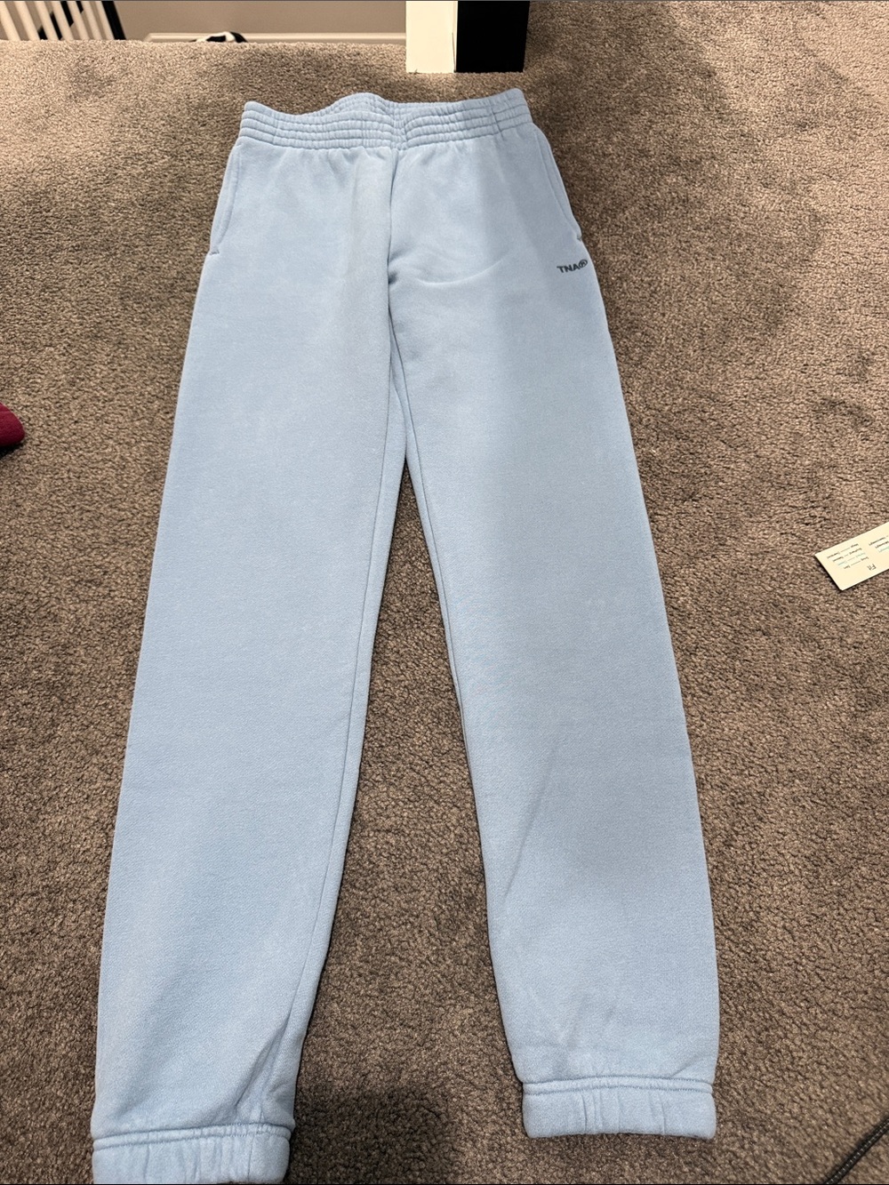 Aritzia Light Blue Fleece Joggers
